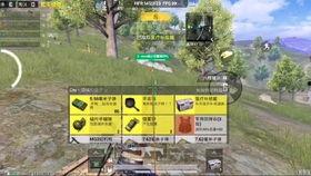 和平精英最新僚机爆料,全新玩法与神秘武器即将上线